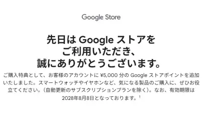 Google Store Point