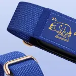 fitbit-air-special-edition-pokemon-sleep