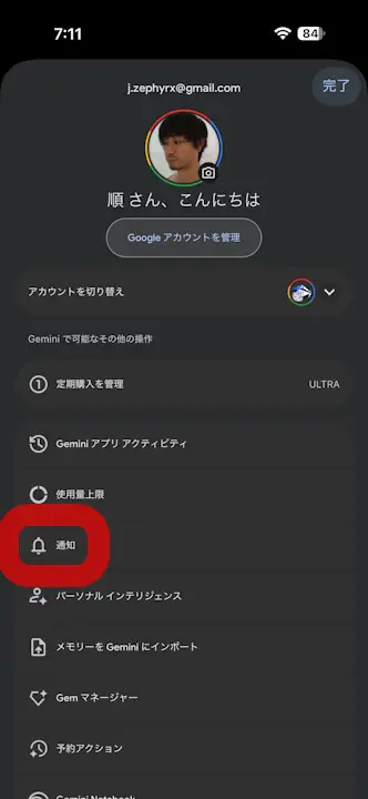 iOS Gemini