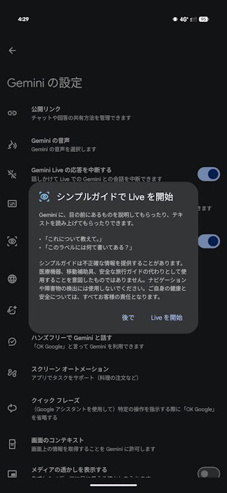 Gemini Live Guided vision