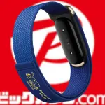 BicCamera Fitbit Air