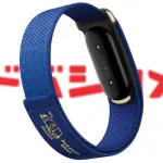 Fitbit Air.yodobashi