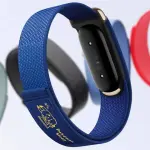Google-Fitbit-Air