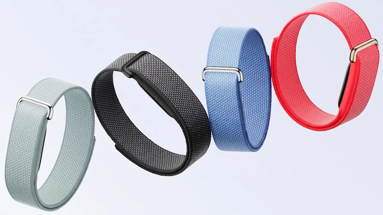 Google Fitbit Air