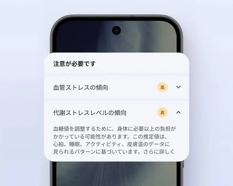 Google Fitbit Edge-