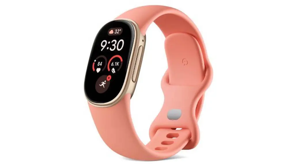 Google Fitbit Edge-Canyon