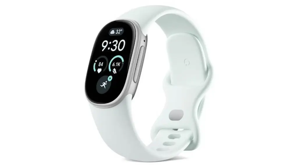 Google Fitbit Edge-Fog