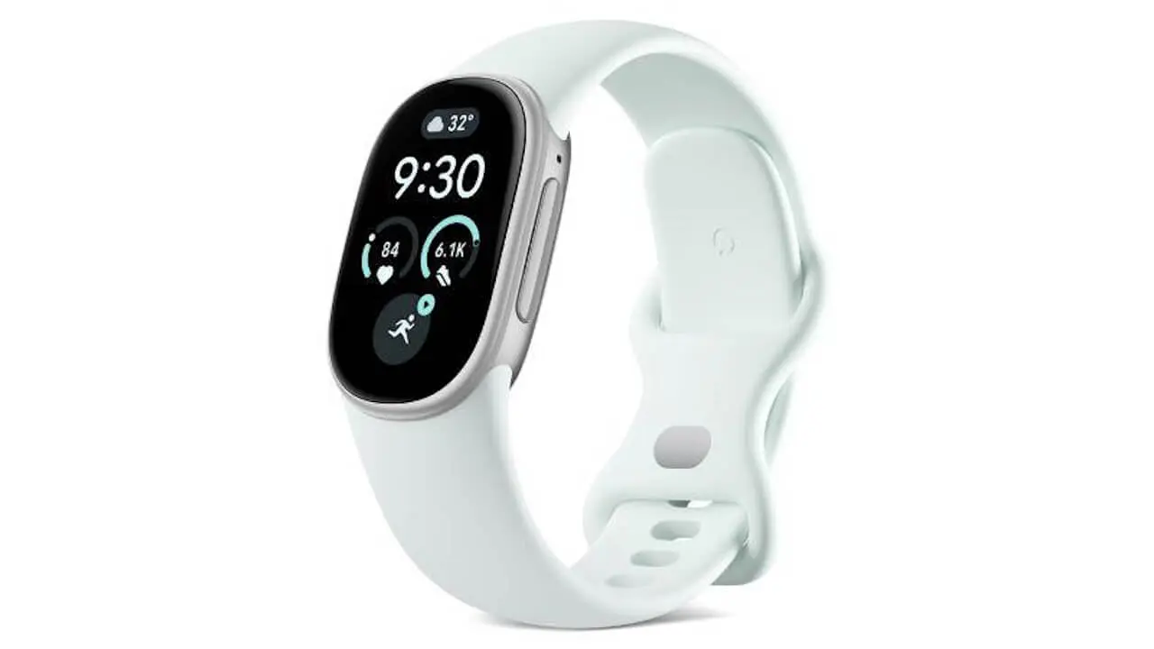 Google Fitbit Edge-Fog