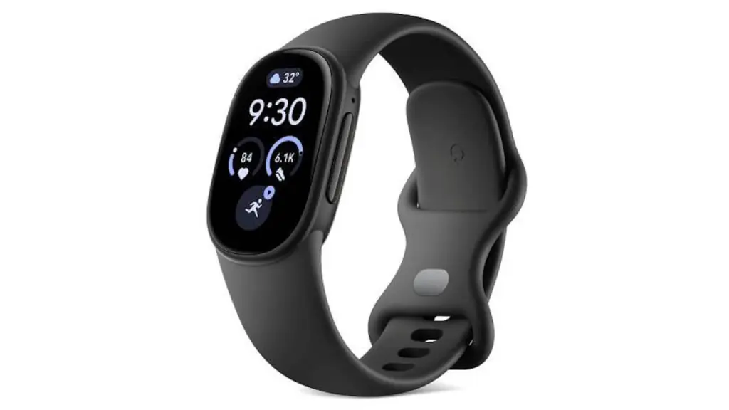 Google Fitbit Edge-Obsidian