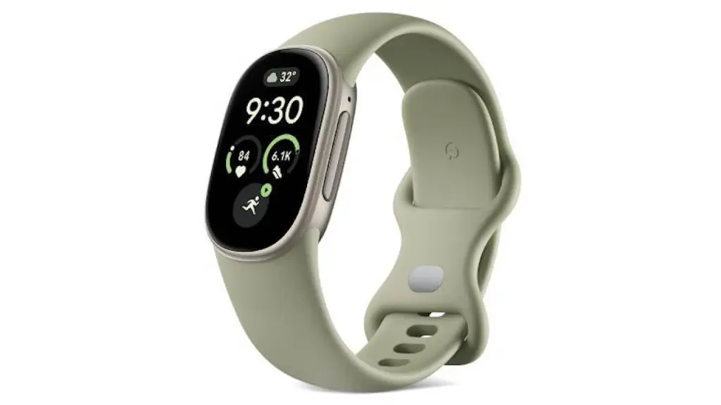 Google Fitbit Edge-Olive