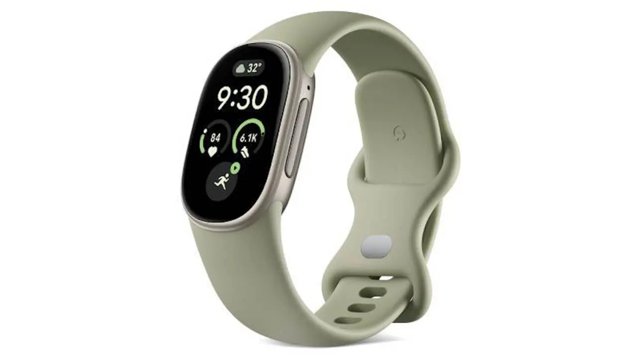 Google Fitbit Edge-Olive